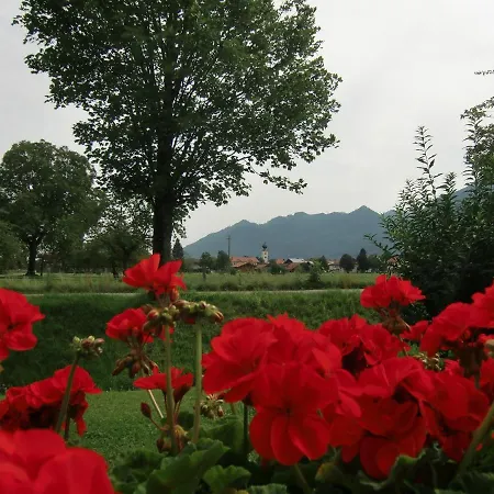 Enzian Im Haus Schmid Grassau (Bavaria)